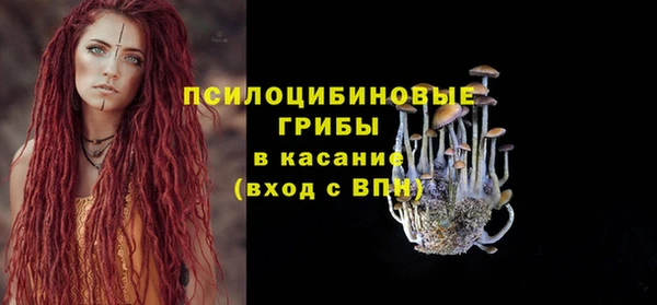 винт Снежногорск