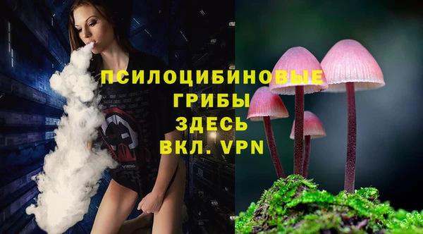 марки lsd Сосновка
