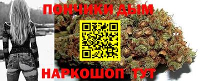 прущие грибы Камышлов
