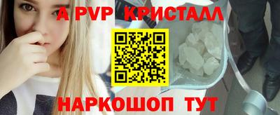 прущие грибы Камышлов