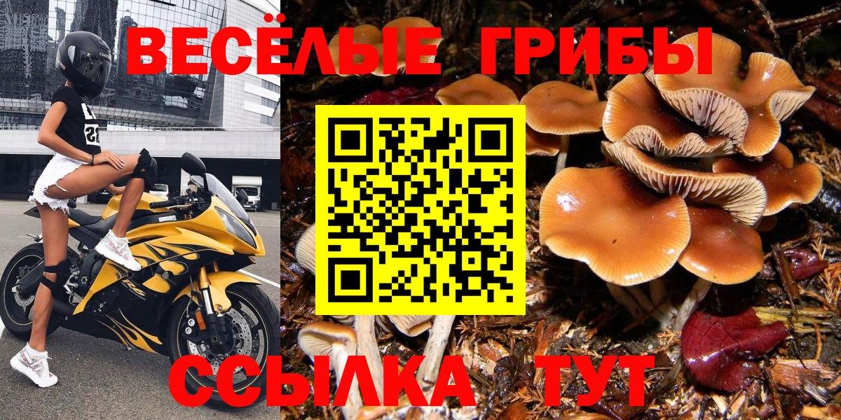 Галлюциногенные грибы Magic Shrooms  где найти наркотики  Сосновоборск 