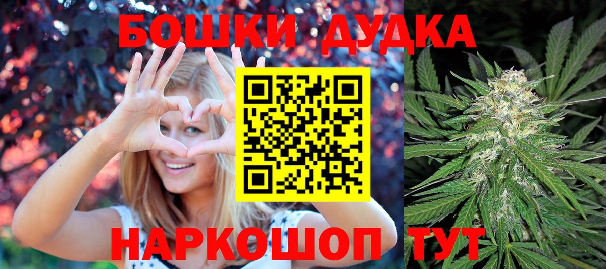 Конопля ГИДРОПОН  Сосновоборск  МАРИХУАНА конопля  Каннабис сатива 